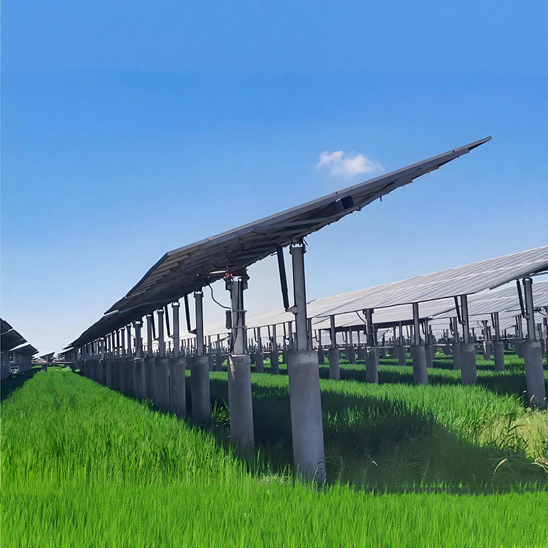 Customizable Ground Solar Mounting Brackets for Different Soil Conditions and Solar Module Types