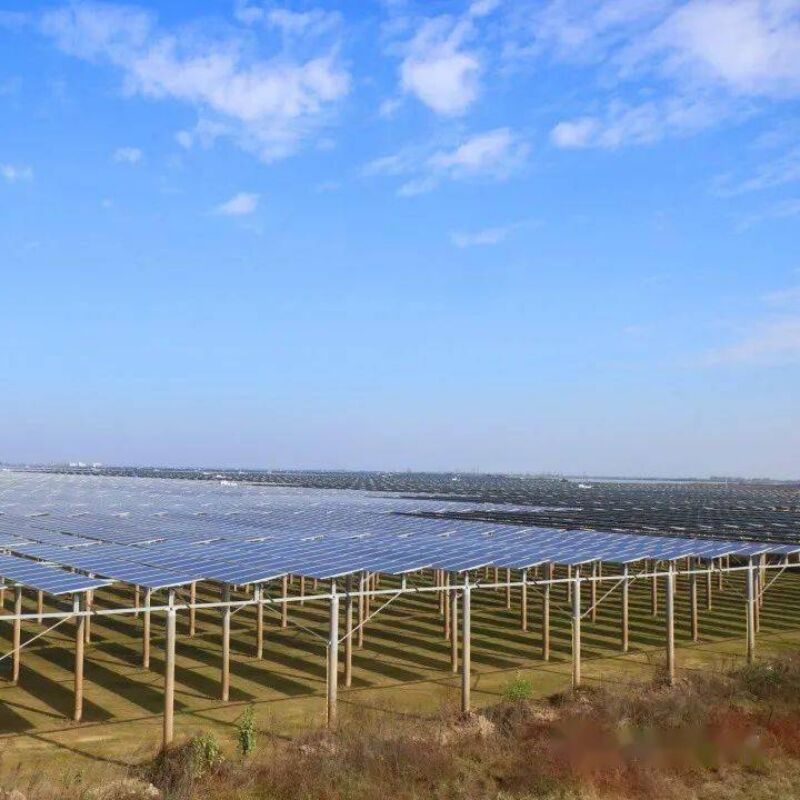 গ্রাউন্ড সোলার মাউন্টিং ব্র্যাকেটগুলি শক্তিশালী বায়ু এবং তুষার লোড প্রতিরোধের ব্যবস্থা করে, অনন্য পাইল ডিজাইন এবং প্রি-অ্যাসেম্বল করা উপাদানগুলির সাথে